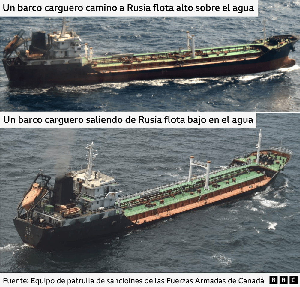 https://www.bbc.com/mundo/articles/cvglmdp3647o