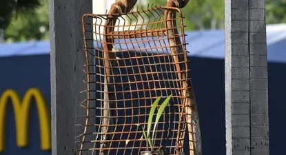 Artistas realizaron obras de arte a partir de restos incendiados de Tienda Inglesa