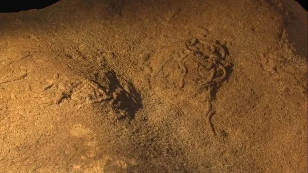 Localizan en Asturias montones fecales fósiles de gusanos arenícolas.