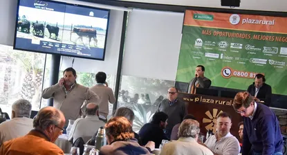 en el primer dia del 212° remate plaza rural coloco el 96% de la oferta