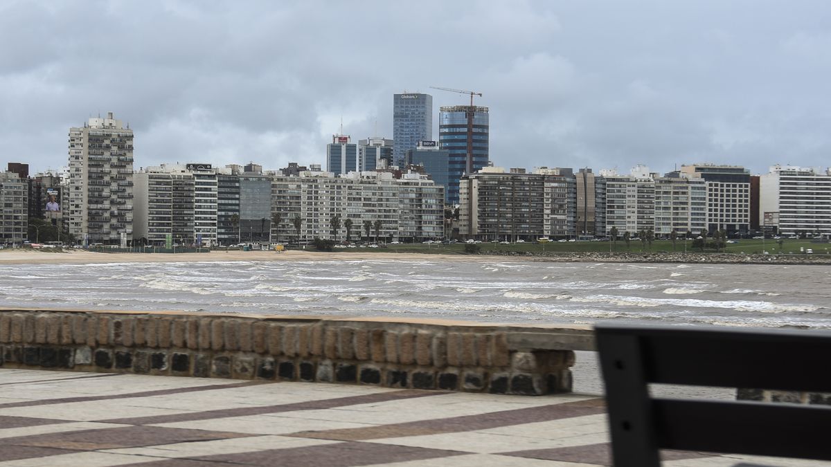 Imagen noticia completa