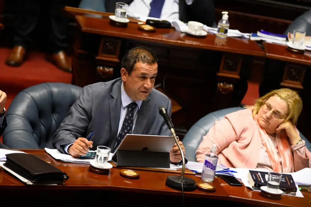 Sebastián Da Silva y Graciela Bianchi, senadores del Partido Nacional