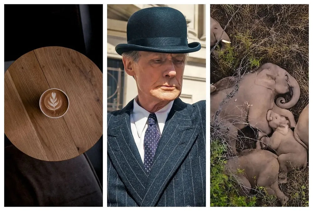 Café, cine y más, en el Picnic de hoy