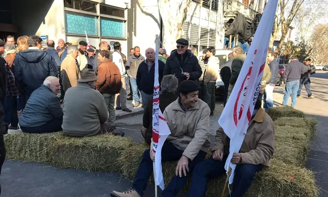 Entre fardos y reclamos, tamberos marchan hacia Presidencia