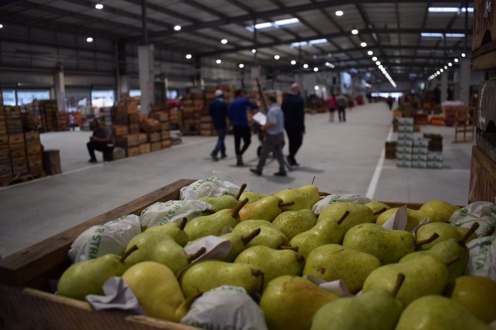 MGAP: llamado a anteproyectos para el desarrollo de emprendimientos granjeros.