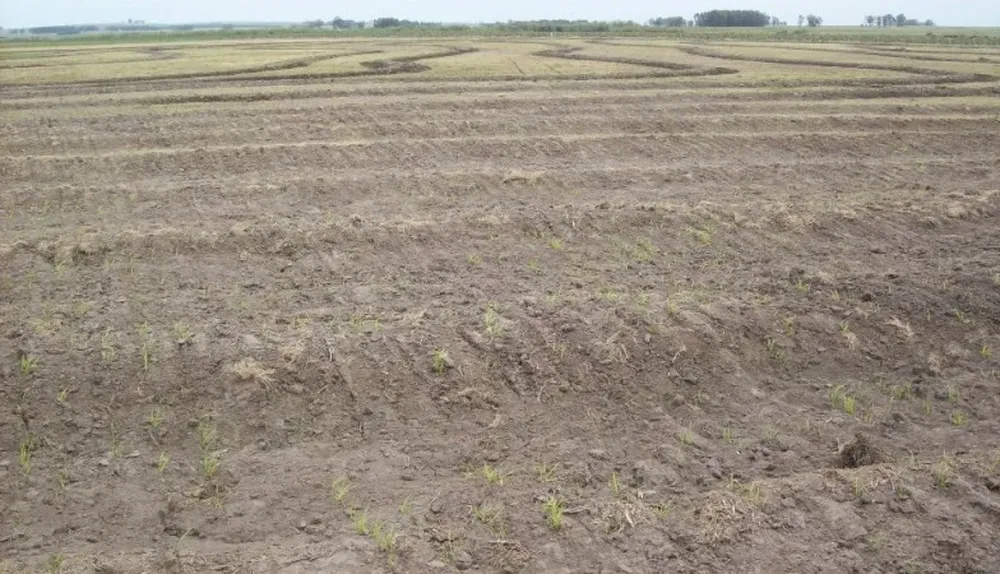 En Rivera fue donde más tierra se comercializó