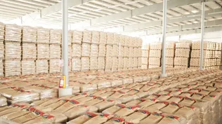 ¿Más y mejor Mercosur? Brasil quiere excluir a los lácteos del libre comercio del bloque