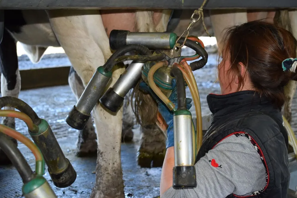 Tambo y cabaña El Chivo, en San José.