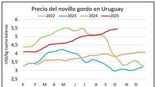 Faena de vacunos, precio de las haciendas y valor de la carne exportada: nuevos datos en el mercado ganadero.