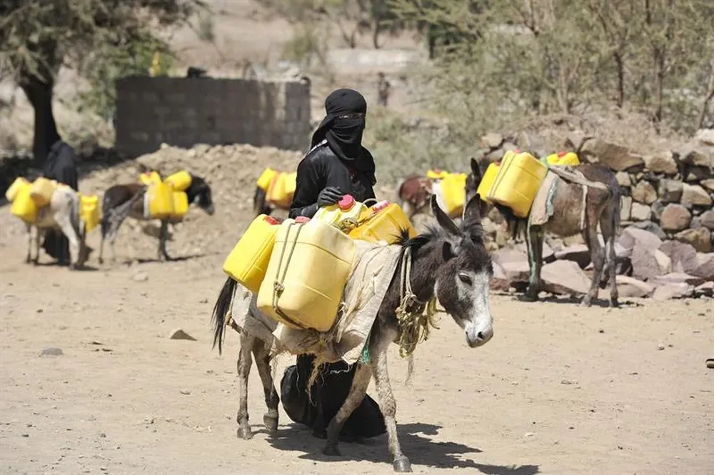 Yemen- Una mujer camina con su burro luego de cargar agua en el medio de una crisis de escasez en el país