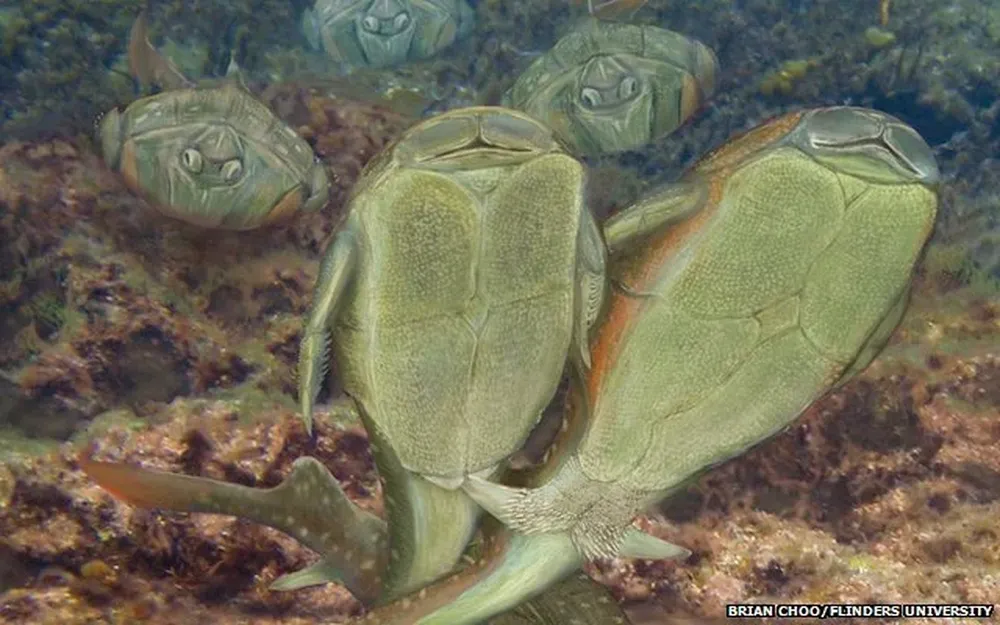 Ilustración del momento de la copulación de los peces investigados