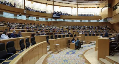 El senador del PP Luis Javier Santamaría interviene en el pleno del Senado .