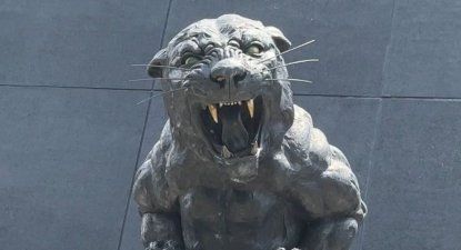 El Observador | Una de las panteras en el Bank of America Stadium