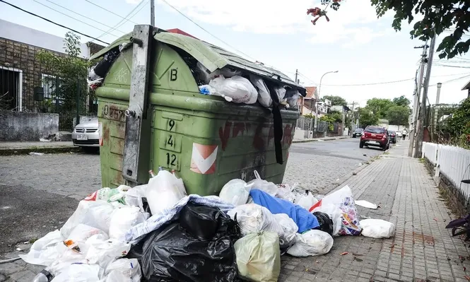 Intendencia de Montevideo pide no sacar basura hasta esta noche: mirá el motivo