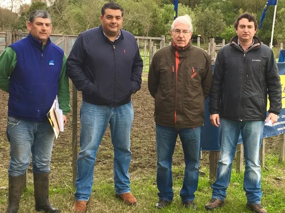 Remate a cargo de Di Santi & Romualdo Ltda