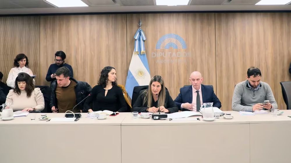 La diputada Silvia Lospennato presidió la reunión de comisión en la Cámara baja.