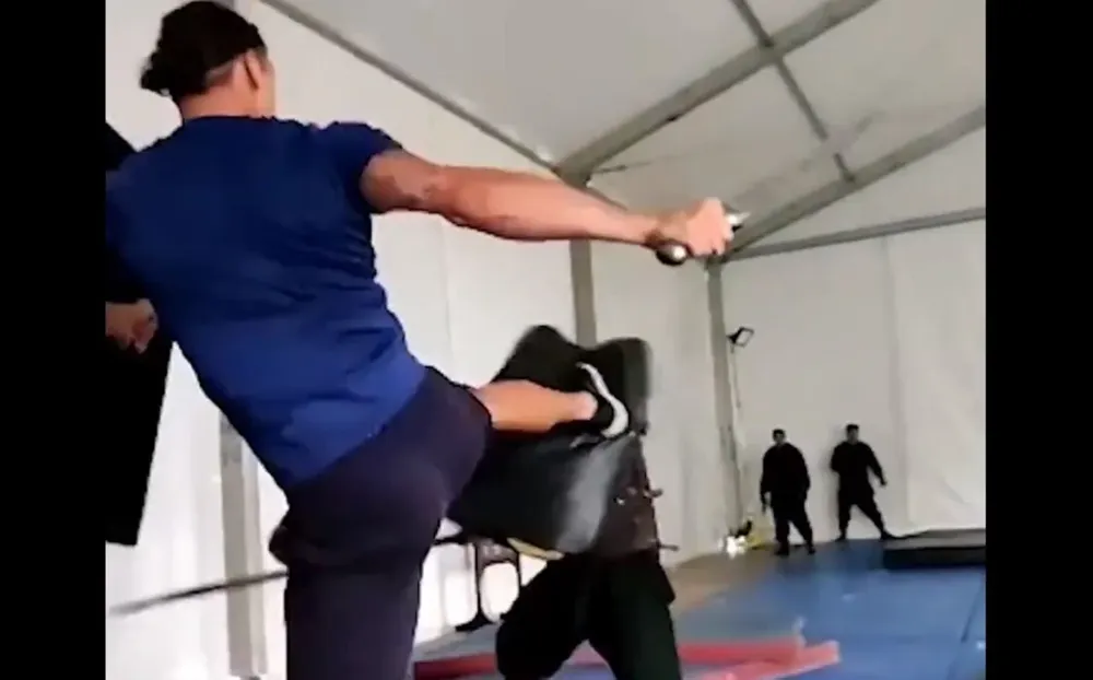 Zlatan Ibrahimovic y su video luchando