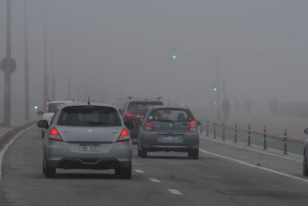 Niebla, humedad, invierno, el tiempo, el clima.