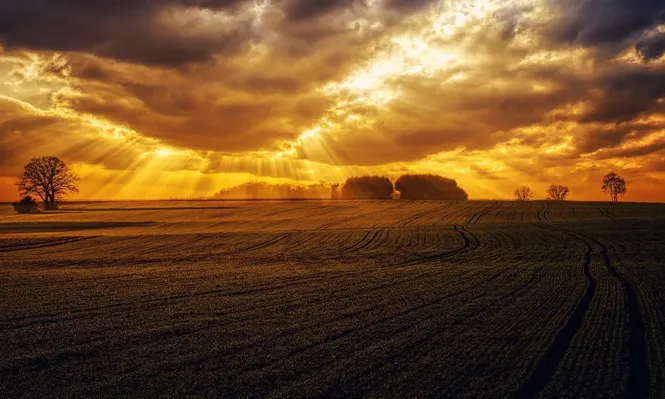 Se viene un nuevo año para la agropecuaria nacional.