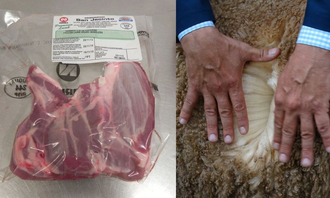 Lanas y carne ovina: ambos segmentos del negocio del rubro ovino generaron más ingresos en 2025 con relación al mismo lapso del año pasado.
