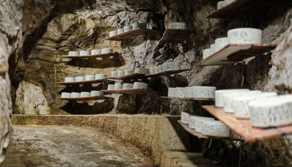 Queso madurado en cuevas.