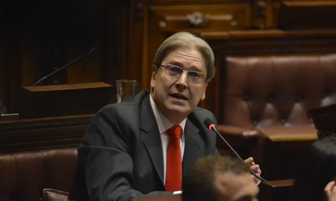 Diputado Ope Pasquet