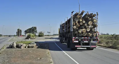 Proyecto que limita forestación afecta la seguridad jurídica y es un grave riesgo para el sector