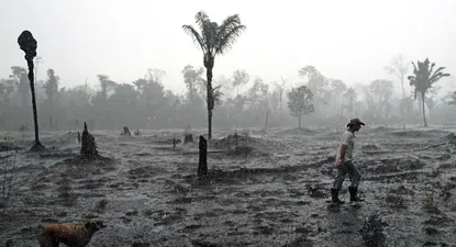 brasil reducira deforestacion en la amazonia a un minimo aceptable