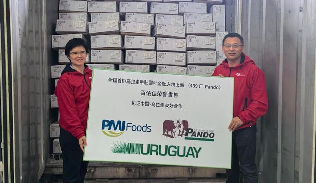 Primeros mondongos uruguayos exportados a China tras la apertura de ese mercado arribaron a destino