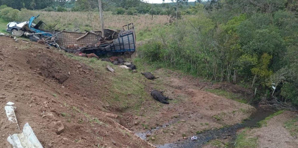 Foto del accidente pasado el mediodía este jueves en Rocha