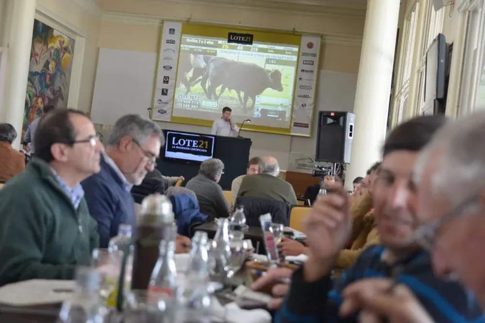 Lote 21 remata en el Hipódromo de Maroñas, con transmisión en vivo por televisión e internet