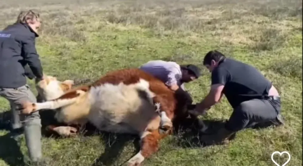 Un momento que el Gordo Verde siempre recordará.