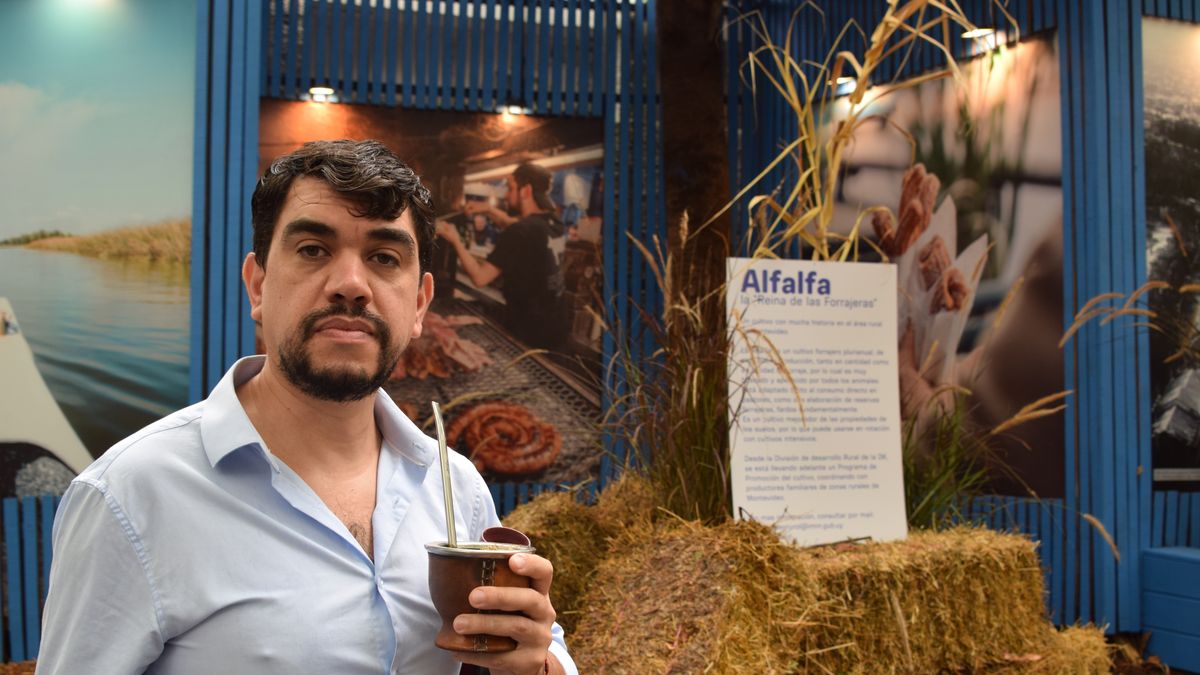 Plan Alfalfa en Montevideo rural: mejorar las cuentas, el suelo y que los camiones no salgan vacíos de la UAM