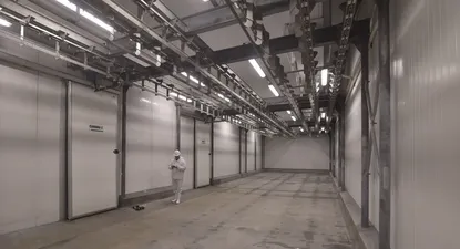 Hubo acatamiento dispar en paro de frigoríficos y descartan desabastecimiento