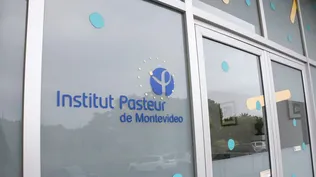 LAB+ financiará a cuatro startups