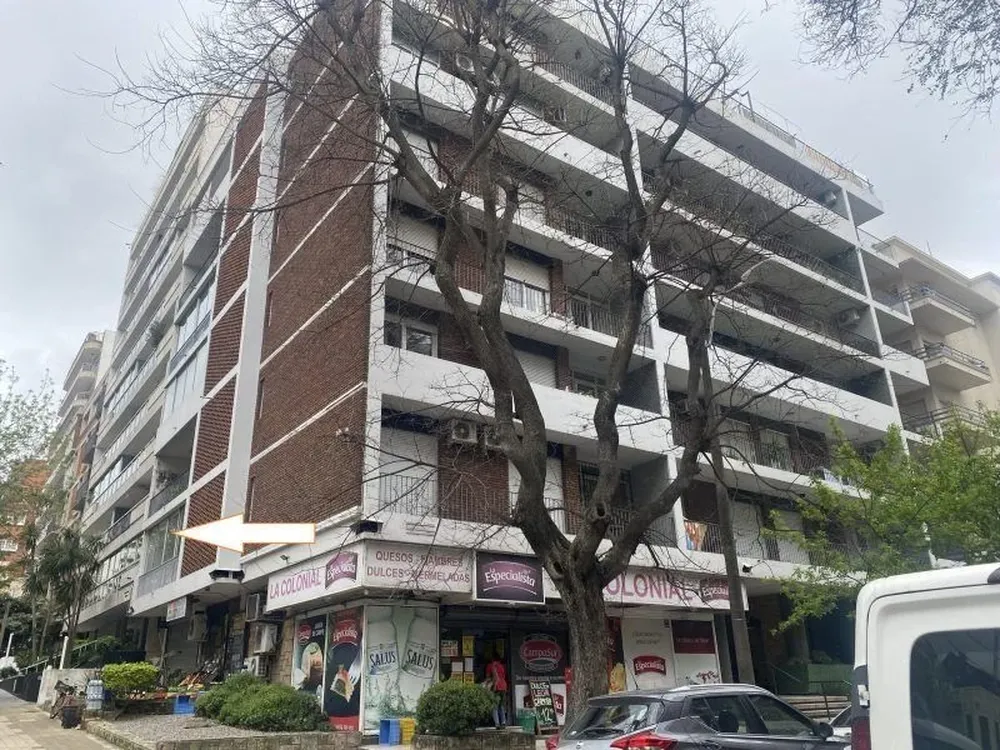 Araujo remata apartamento en Pocitos.