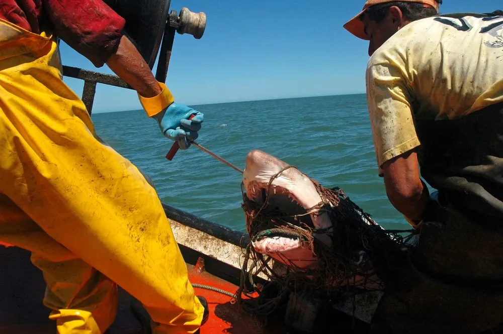 Pescadores en Cabo Polonio.