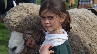 Expo Prado: Jacinta, protagonista en la pista del Corriedale.