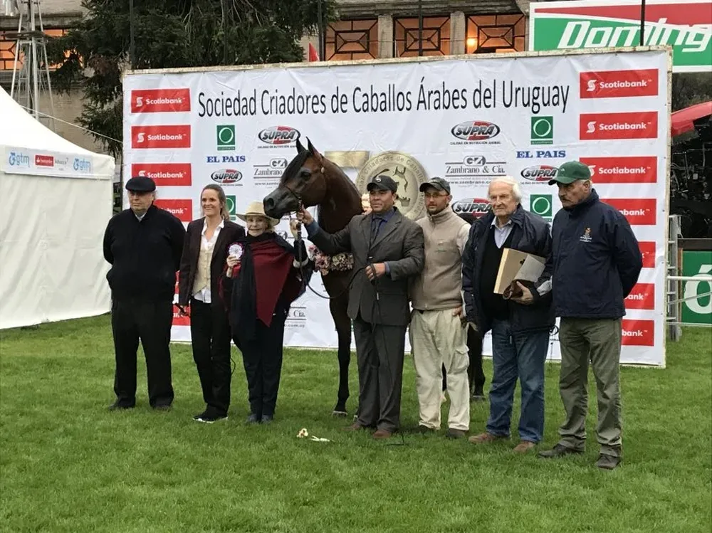 El momento de la coronación del Gran Campeón de la raza Árabes, de Las Rosas.