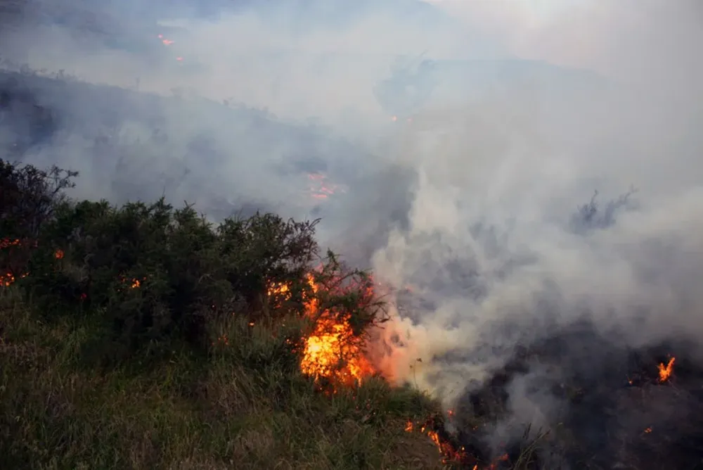 El ciudadado israelí confesó ser responsable del incendio.