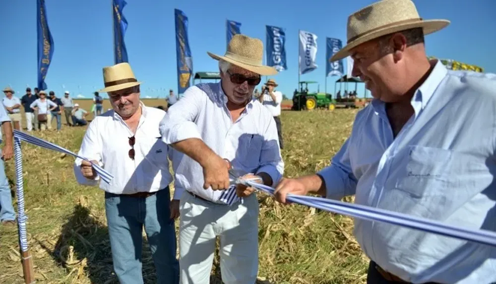 Roberto, Verdera, Jorge Andrés Rodríguez y Tabaré Aguerre