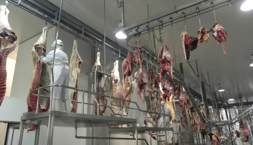 El Frigorífico Durazno deberá cumplir con el ajuste en aspectos operativos antes de pedir una inspección