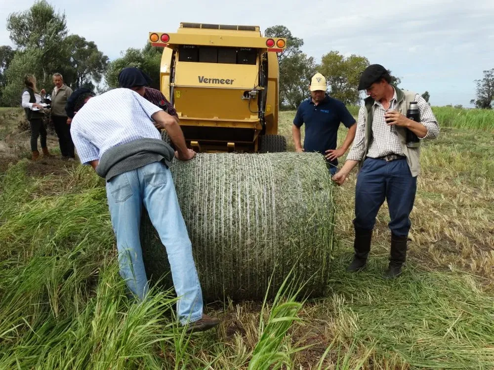 Accionarán equipos forrajeros y otros en el sector de la dinámica.