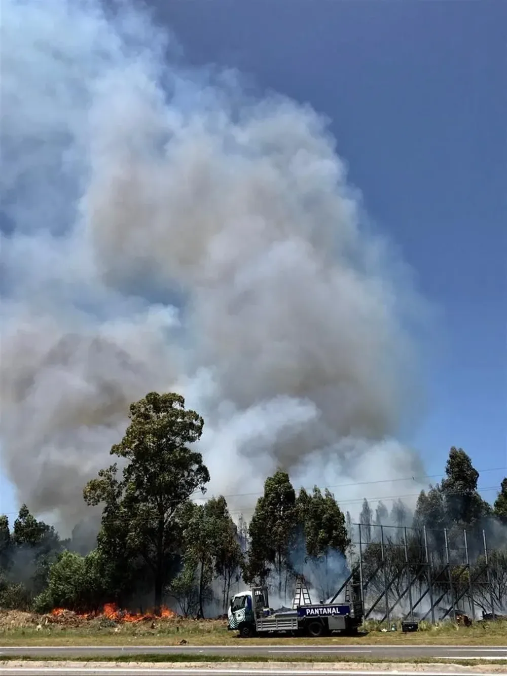 Incendios forestales se dan por descuidos humanos