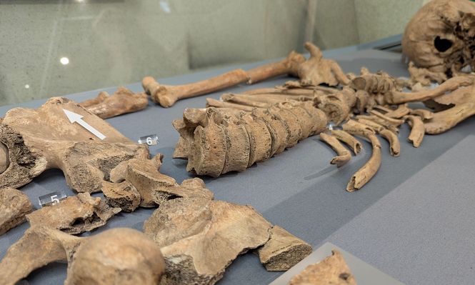 El esqueleto del joven fue hallado durante una excavación en York en 2004.