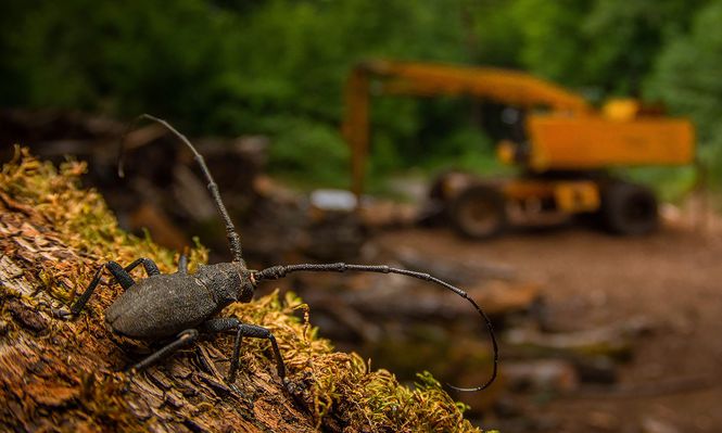 Lugar: Lazio, Italia