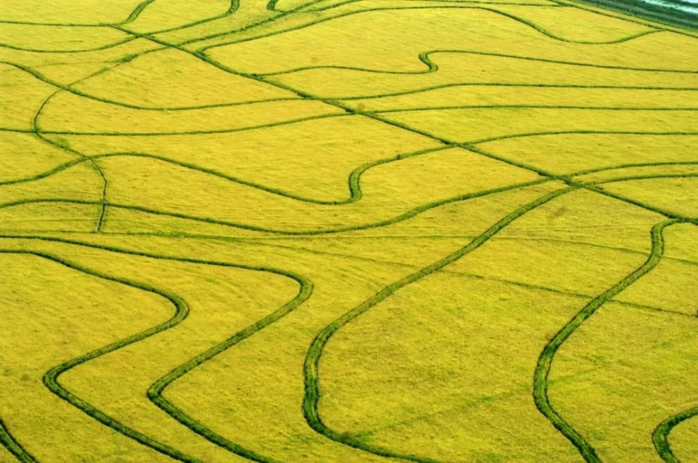 Las lluvias de la semana pasada complicaron a varios