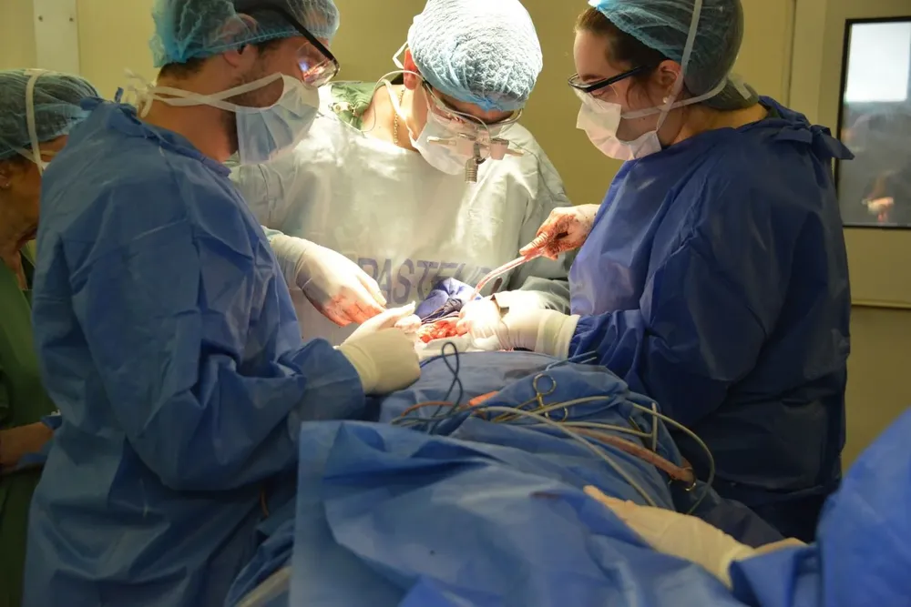 Prestadores deben quedar al día con las cirugías para marzo de 2022