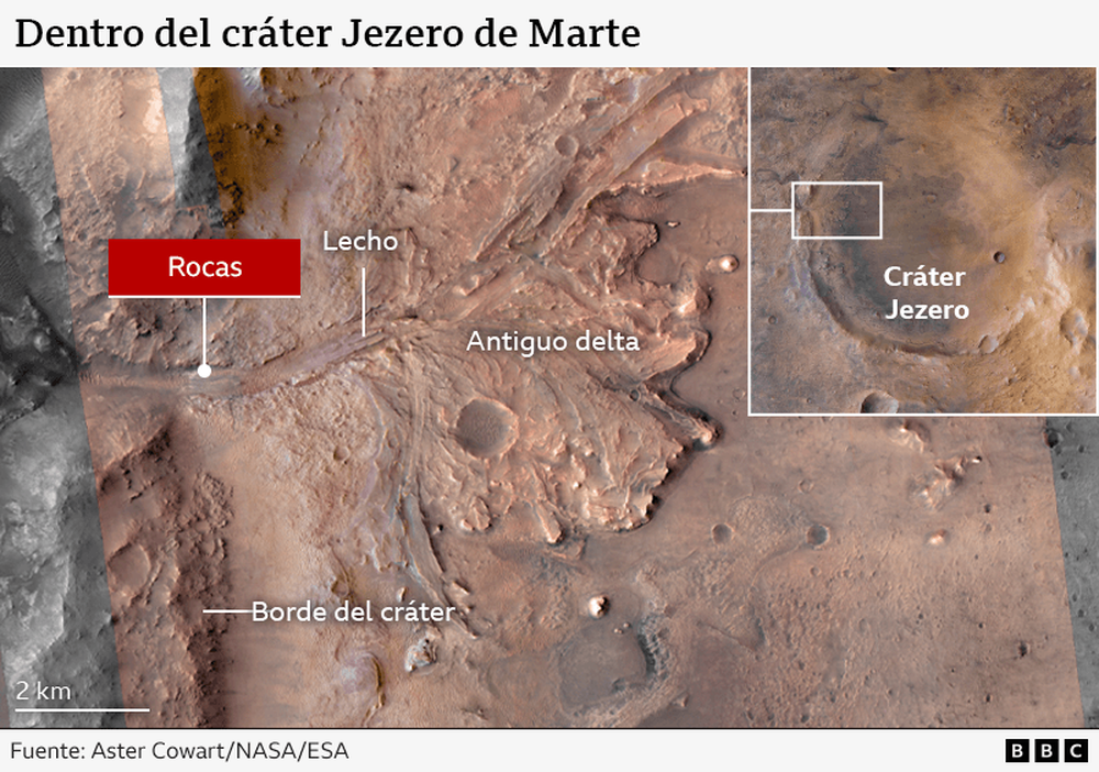 https://www.bbc.com/mundo/articles/cy4j827v9xlo