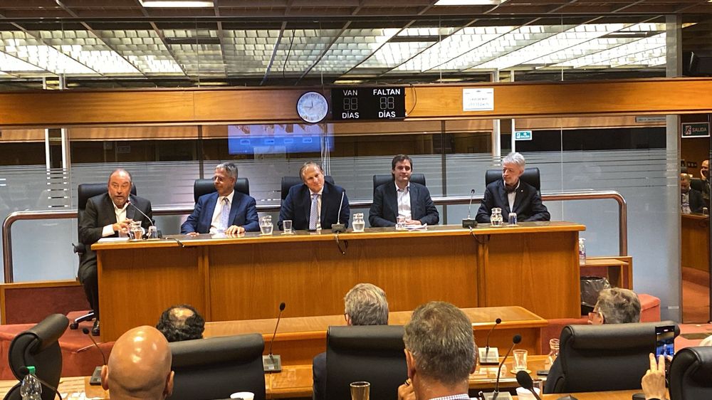 WhatsApp Image 2024-12-05 at 17.53.31.jpeg